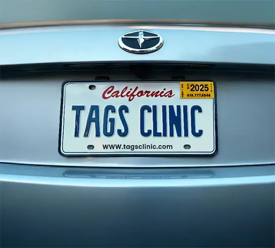 WhatsApp-Image-2025-04-06-at-4.12.27-AM-1 Vehicle Verification